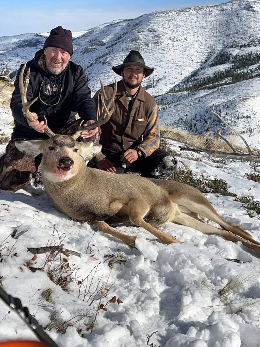 Bull elk during the rut in Montana