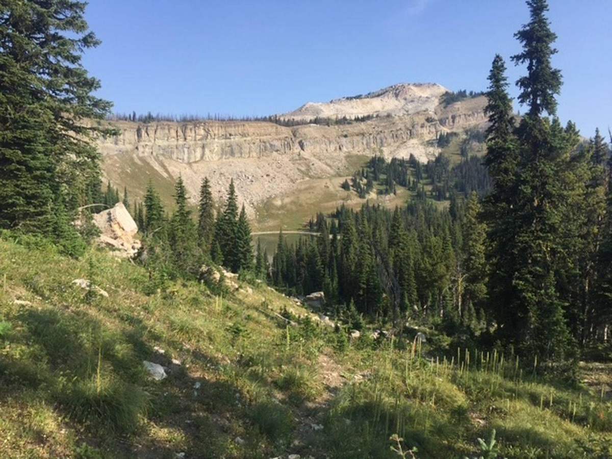 Montana Safaris wilderness adventure