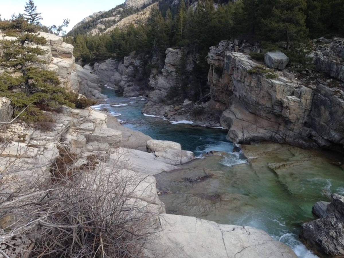 Montana Safaris wilderness adventure