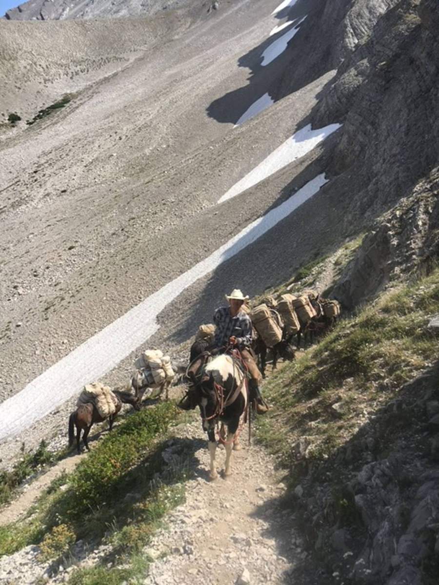 Montana Safaris wilderness adventure