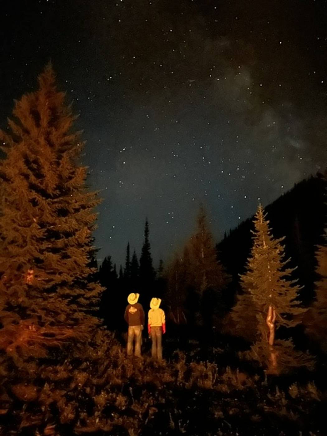 Montana Safaris wilderness adventure