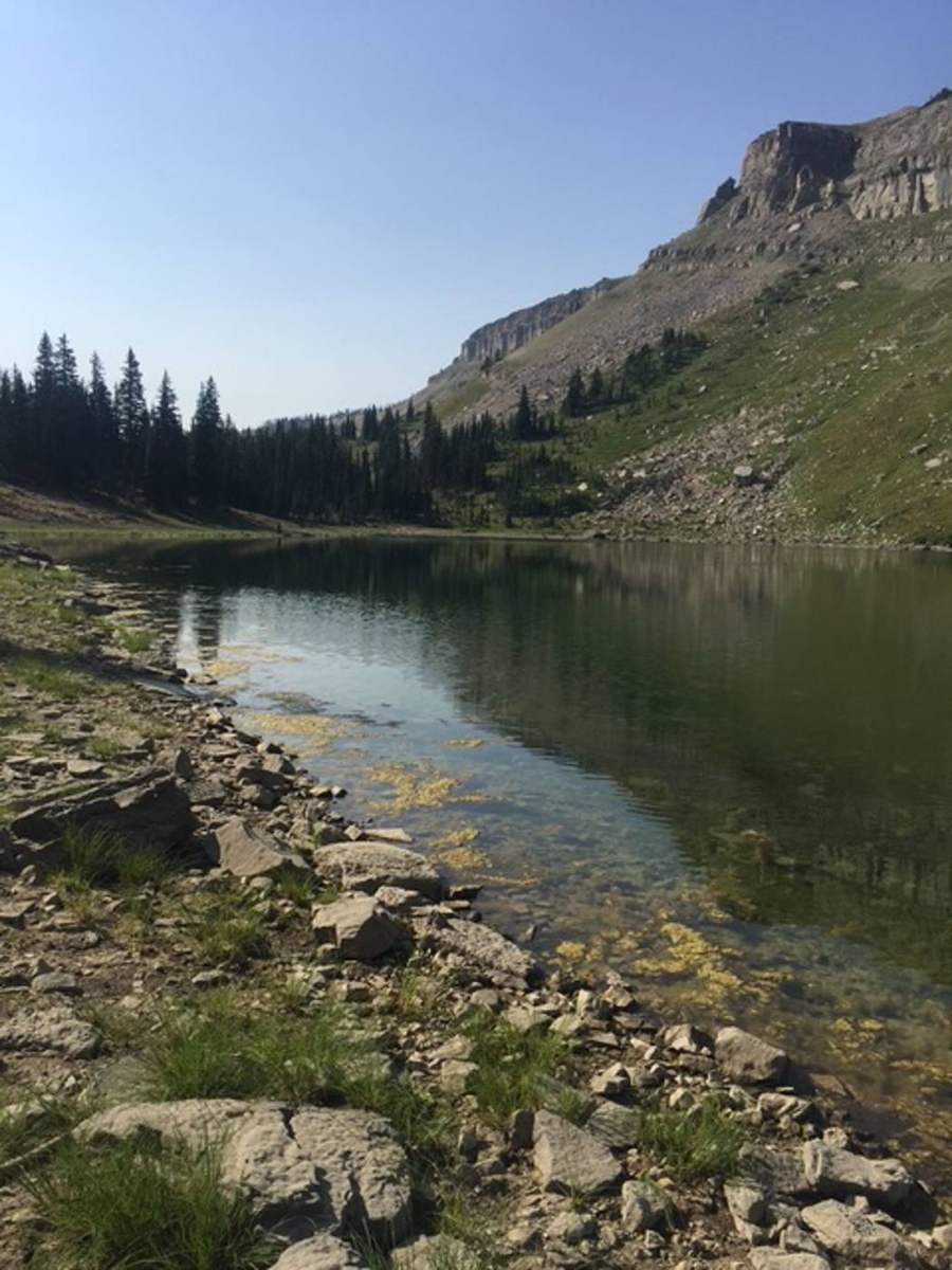 Montana Safaris wilderness adventure