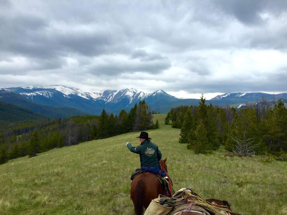Montana Safaris wilderness adventure