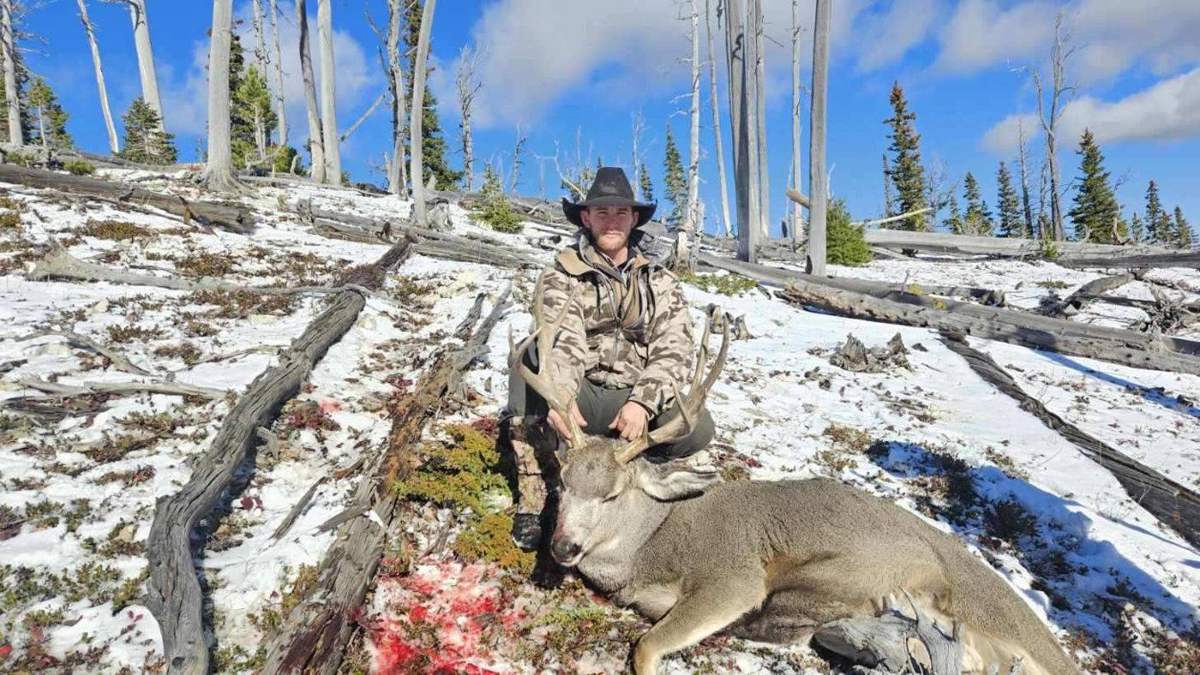 General season elk and mule deer combo hunt