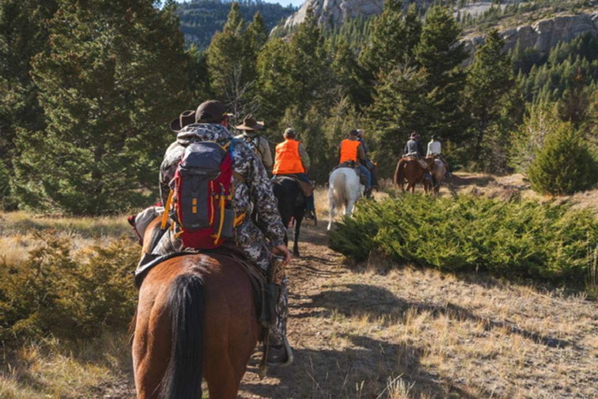 Wall-tent base camp on a Montana combo hunt