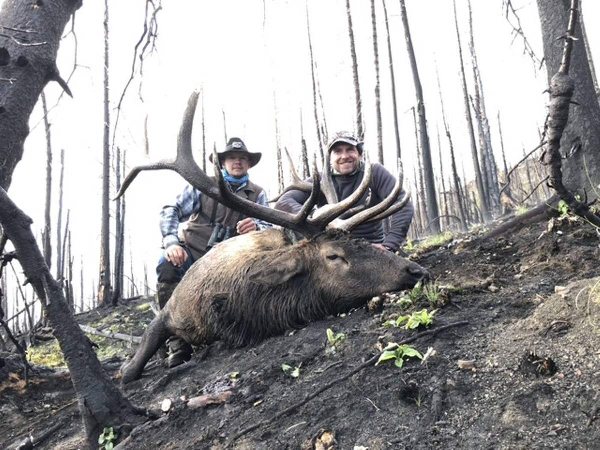 Mountain mule deer country